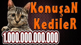 Konuşan Kediler 100000000000  En Komik Kedi Videoları [upl. by Ahsakal267]