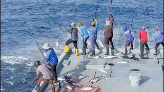 FISHING  TUNA  MALDIVES 🎣 [upl. by Acinoreb]