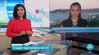 NRK Dagsrevyen Intro Transparent 20152024 [upl. by Aisa11]