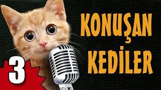 Konuşan Kediler 3  En Komik Kedi Videoları [upl. by Yvad146]