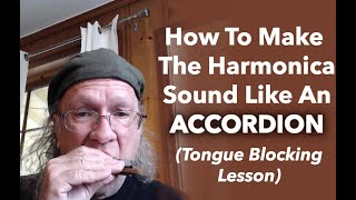 How To Make The Harmonica Sound Like An Accordion Tongue Blocking Lesson Two [upl. by Oicelem882]