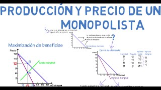 Monopolio  Cap 20  Microeconomía [upl. by Jairia]