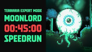 Terraria  Expert Mode Speedrun Moonlord in 45 minutes Seeded ANY RTA [upl. by Thadeus542]