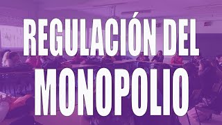 Regulacion del monopolio [upl. by Nairim]