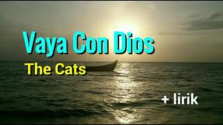 Vaya Con Dios  The Cats lyrics [upl. by Oninrutas]