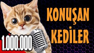 Konuşan Kediler 1000000  En Komik Kedi Videoları [upl. by Anen]