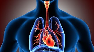 Respiratory System Facts Function and Diseases [upl. by Broeker597]