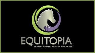 Top 6 Signs Your Saddle is Hurting Your Horse  by Equitopia demonstrated by Jochen Schleese [upl. by Nylarac]