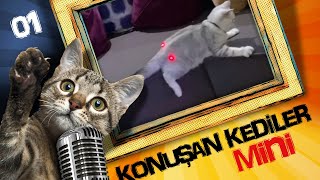 Konuşan Kediler Mini 1  En Komik Kedi Videoları [upl. by Baillie]