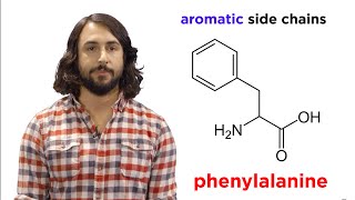 Amino Acids [upl. by Philpot]