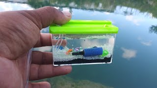 WORLDS SMALLEST Fish AQUARIUM REAL [upl. by Nylzor44]