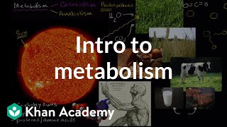 Introduction to metabolism anabolism and catabolism  Khan Academy [upl. by Martha614]