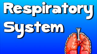 The Respiratory System Song [upl. by Razaile]