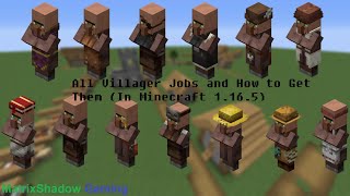 All Villager Jobs and How to Get Them  Minecraft 1165 [upl. by Petty481]