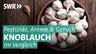 Knoblauch im Test Wie gesund ist die Knolle wirklich  Marktcheck SWR [upl. by Nana]