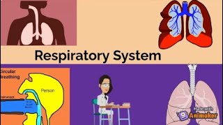 Respiratory and Circulatory Systems  Grade 9 Science Quarter 1 Lesson [upl. by Odlavso]