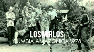 Los Mirlos  Cumbia Amazonica Vinyl 1978 [upl. by Wald]