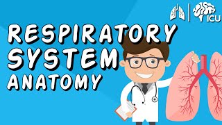 The Respiratory System CRASH COURSE [upl. by Kciremed87]