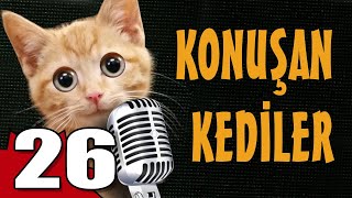 Konuşan Kediler 26  En Komik Kedi Videoları [upl. by Anoy]