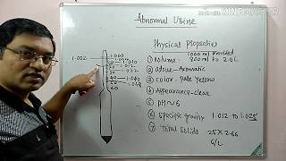 Physical properties of urine Abnormal constituents of urine Part 1 [upl. by Lovato]