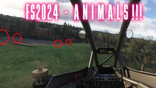 Finding ANIMALS in MSFS2024 [upl. by Ambrosio]