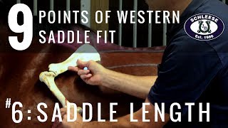 Tip 6 Saddle Length  The 9 Points of Western Saddle Fit [upl. by Aisilef407]