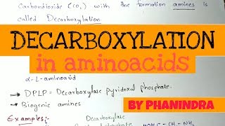 Decarboxylation of Aminoacids  Aminoacids metabolism [upl. by Yentuoc]