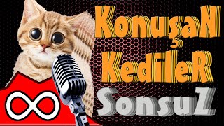 Konuşan Kediler Sonsuz  ∞   En Komik Kedi Videoları [upl. by Rma435]