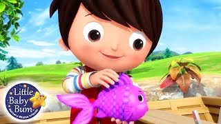 12345 Once I Caught A Fish Alive  Nursery Rhymes for Babies  Songs For Kids  Little Baby Bum [upl. by Ahtnama]