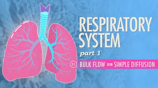 Explore How we Breathe  STEM Lesson Plan [upl. by Broderick]