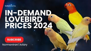 InDemand Lovebird in the Philippines with Prices 2024 [upl. by Olifoet139]