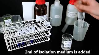 Photosynthesis in chloroplasts Hill Reaction [upl. by Martainn]