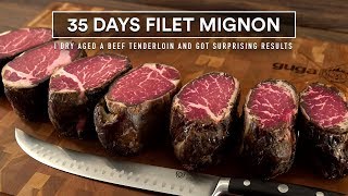 35 Days FILET MIGNON Dry Aged Experiment [upl. by Theurer24]