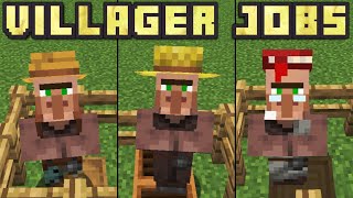 Minecraft 116  How To Give Villagers Jobs Every Villager Job [upl. by Utta]