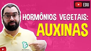 Auxinas Hormônios Vegetais  Fisiologia Vegetal  Aula 27 Botânica Prof Guilherme [upl. by Einahpit]