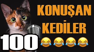 Konuşan Kediler 100  En Komik Kedi Videoları [upl. by Lion735]