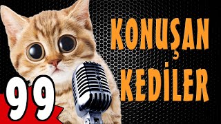 Konuşan Kediler 99  Komik Kedi Videoları [upl. by Lozar]