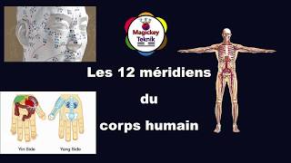 Comment les méridiens du corps humain fonctionnent [upl. by Nireves620]