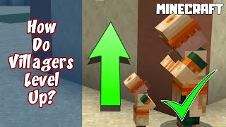 MINECRAFT  How Do Villagers Level Up 1164 [upl. by Siekram]