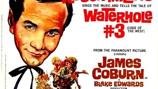 US 1967 Roger Miller  Waterhole 3 [upl. by Eilrahs]