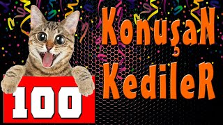 Konuşan Kediler 100  En Komik Kedi Videoları [upl. by Joline]