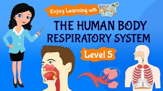 Respiratory System From Inspiration to Expiration Explained in Simple Words [upl. by Frentz]