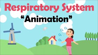 RESPIRATORY SYSTEM  Biology Animation [upl. by Adnat]