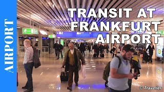 TRANSIT WALK AT FRANKFURT Airport FRA Terminal 1  Connection Flight Transfer Arriving amp Departing [upl. by Aivato]