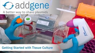 Getting Started with Tissue Culture [upl. by Acinoryt]