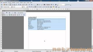 Lebenslauf in Open Office [upl. by Rogerio]